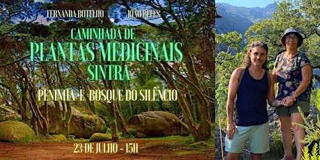 CAMINHADA DE PLANTAS MEDICINAIS EM SINTRA - PENINHA E BOSQUE DO SILÊNCIO primary image