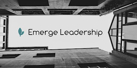 Emerge Leadership- Awareness primary image