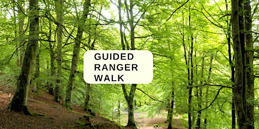Guided Ranger Walk primary image