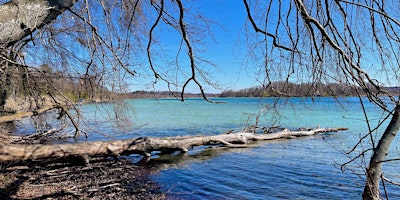 Immagine principale di So,28.04.24 Wanderdate Maisinger Schlucht & Starnberger See für alle 