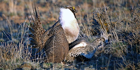 High Desert Speaker Series PDX: Sex Lives of Desert Plants & Animals primary image