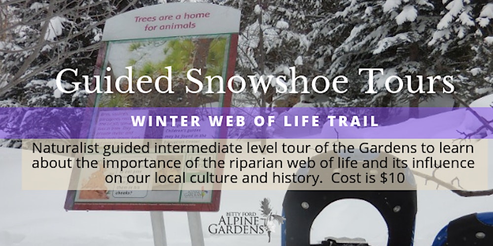 Guided Snowshoe Tour Winter Web Of Life Trail Tickets Multiple
