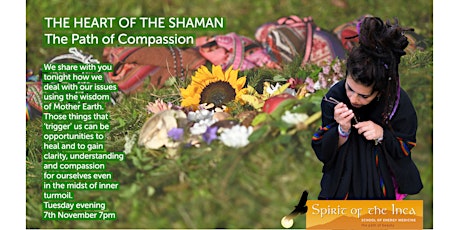 HEART OF THE SHAMAN series: the Path of Compassion primary image