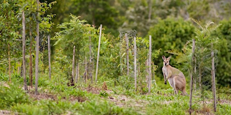 Landcare Tool Use & Maintenance Training primary image