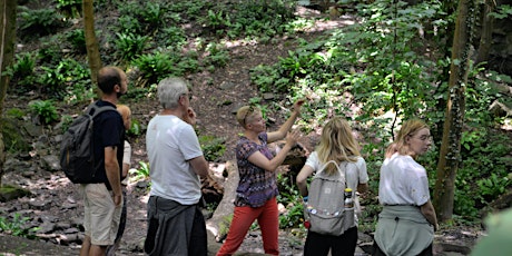 Rivers Old and New - Frome Valley mindful geology walk