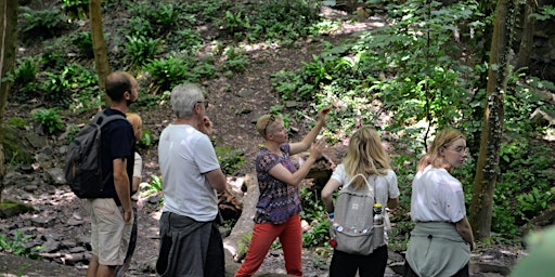 Imagem principal do evento Rivers Old and New - Frome Valley mindful geology walk