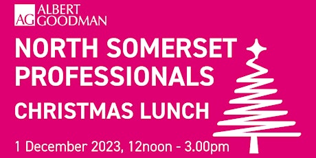North Somerset Professionals Christmas Lunch primary image
