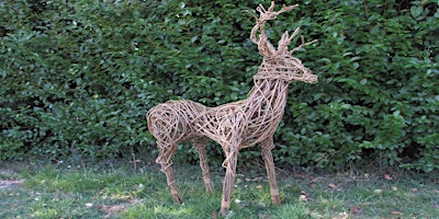 Willow Deer Workshop primary image