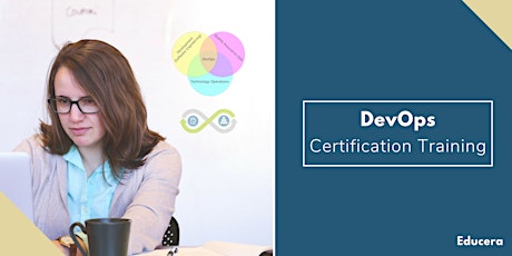 DevOps Classroom Training in Sainte-Anne-de-Beaupré, QC