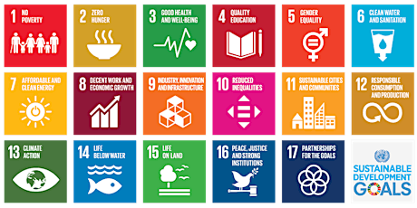 Let's innovate on 17 Global Goals in Cork primary image