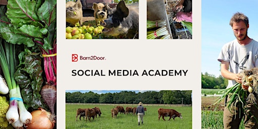 Imagem principal do evento Barn2Door Academy: Social Media (May 2024)