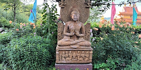 Image principale de The Life and Teachings of the Buddha