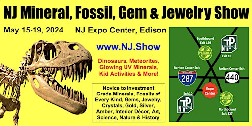 NJ Mineral, Fossil, Gem & Jewelry Show primary image