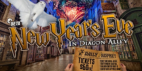 New Years Eve in Diagon Alley! primary image
