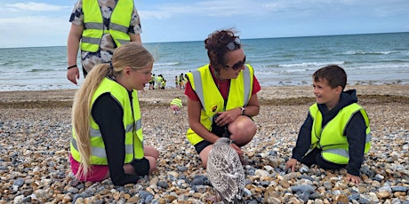 Wild Beach Easter Holiday Sessions For Ages 5-11yrs