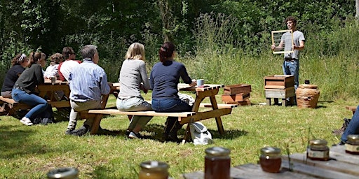 Hauptbild für Beekeeping Experience Days 2024