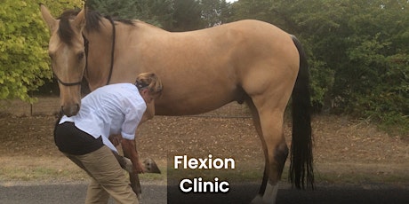 Flexion Clinic - July primary image