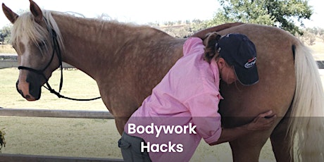 Bodywork Hacks Clinic - Nov primary image