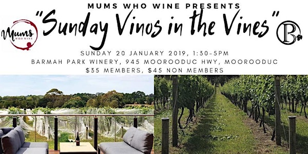 Sunday Vino in the Vines