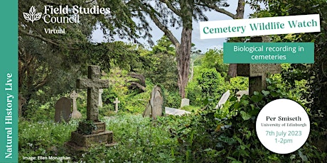 Cemetery Wildlife Watch: Biological recording in cemeteries primary image