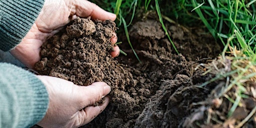 Imagem principal de Soil Days with Soil Mentor