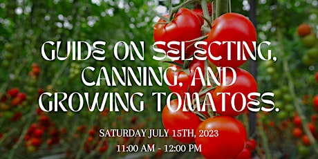 Guide on Selecting, Canning, and Growing Tomatoes. primary image