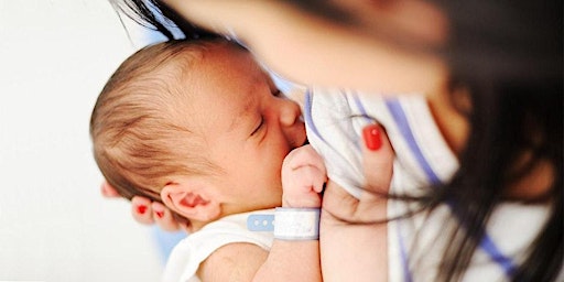 Prepared Breastfeeding-In-Person primary image