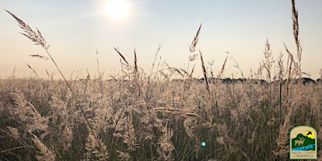 Monday Morning Mindfulness primary image