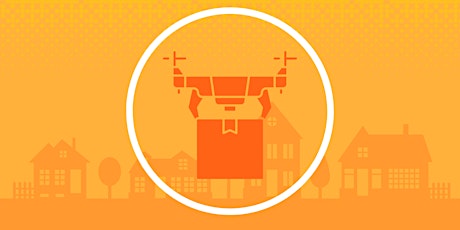 How Can Policymakers Support the Adoption of Drones for Package Deliveries? primary image