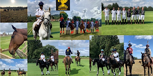 Image principale de Polo Experiences: