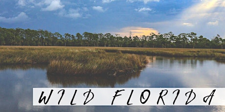 "Wild Florida" Photography Exhibit Workshop | January primary image