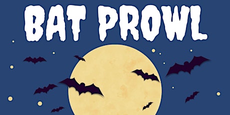 Bat Prowl primary image