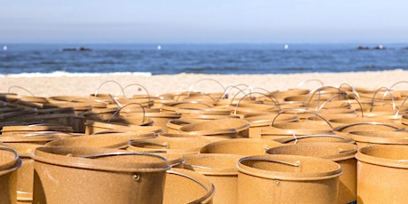 Imagem principal de Nothin' But Sand Beach Cleanup Plastic Free July 2023