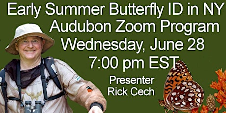 Imagen principal de Early Summer Butterfly ID in New York: Rick Cech