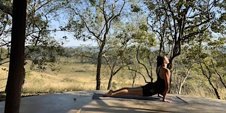 Cours de Yoga tous niveaux plein air