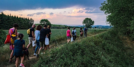 Immagine principale di Cinemambulante a Buttrio 