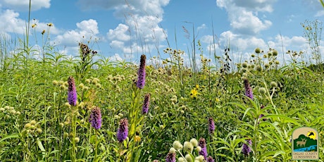 Prairie Color Hike primary image