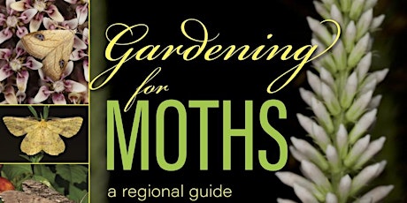 Gardening for Moths primary image
