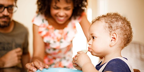 Feeding Your Baby and Making Your Own Baby food - Virtual Workshop primary image