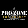 PRO ZONE: The Agency's Logo