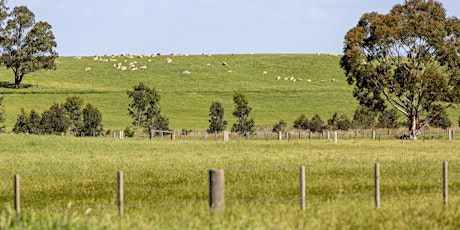 2023-24 Holistic Grazing Management course primary image