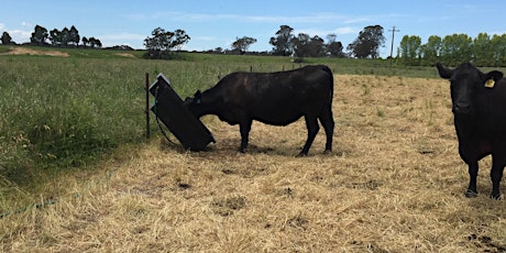 Fencing and moveable stock water Field day - Kyneton primary image