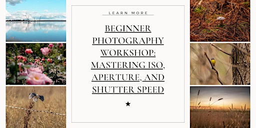 Beginner Photography Workshop: Mastering ISO, Aperture, and Shutter Speed primary image