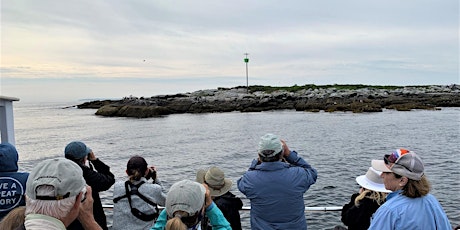 Seabirds & Puffins Cruise from Port Clyde, Maine primary image