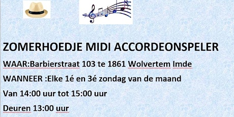 Primaire afbeelding van Zomerhoedje en zijn digitale midi accordeon