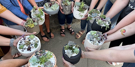 Pick your pot- succulent potting workshop @ABC Brewing in Battle Lake, MN primary image