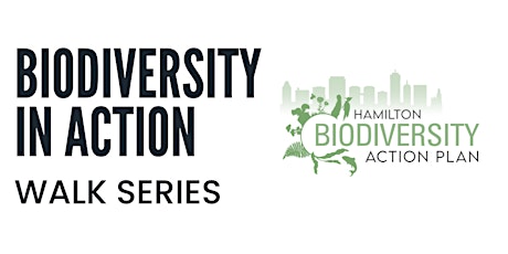 Hauptbild für Urban Biodiversity - Biodiversity in Action Walk Series