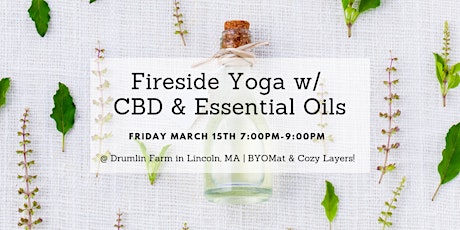 Fireside Yoga w/ CBD & Essential Oils primary image
