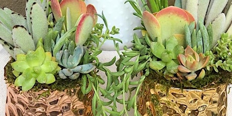 PTSA Events:  Sips & Succulents! primary image