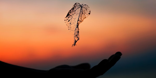 Roots and Resilience: White Antiracism and Spirituality